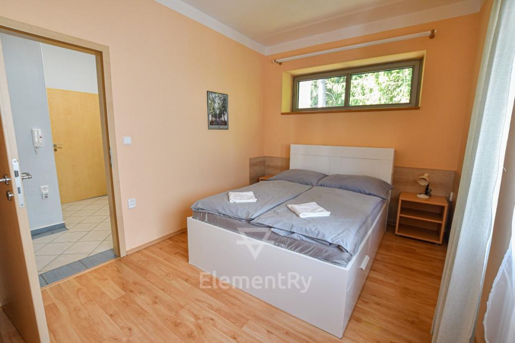 Apartment 2+kk with balcony in Harrachov  